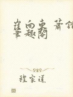 崔向东 萧错 笔趣阁