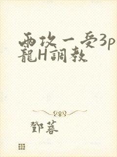 两攻一受3p双龙H调教