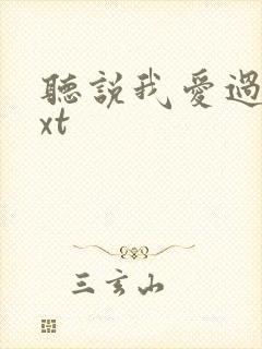 听说我爱过你txt