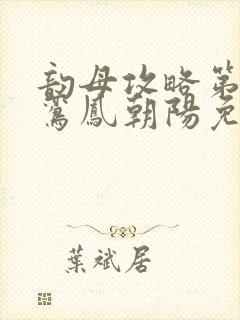 韵母攻略第二部鸾凤朝阳免费阅读