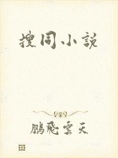 搜同小说