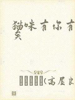 猫咪有你有我足矣