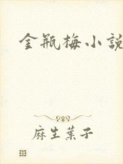 金瓶梅小说在线