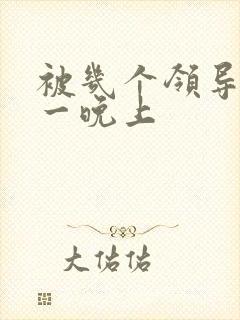 被几个领导玩弄一晚上