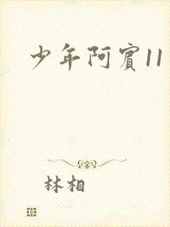 少年阿宾11