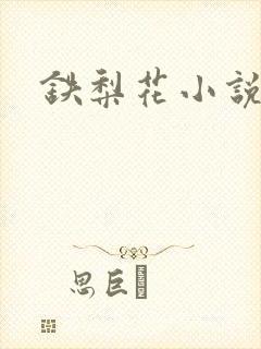 铁梨花小说