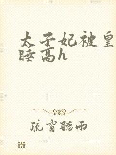 太子妃被皇上强睡高h