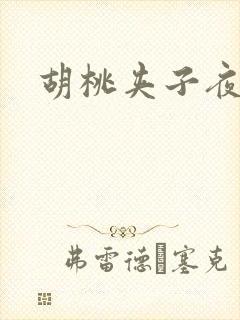 胡桃夹子夜未眠