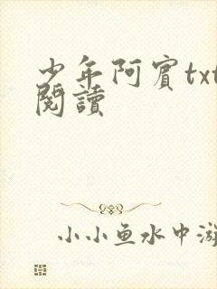 少年阿宾txt阅读