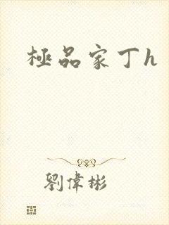 极品家丁h