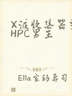 X液收集器系统HPC男主