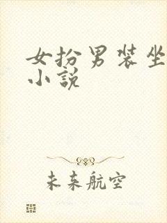 女扮男装坐江山小说