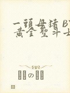 一头母猪 BY 黄金圣斗士