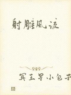 射雕风流