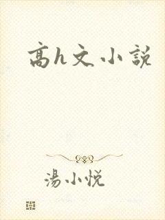 高h文小说封面