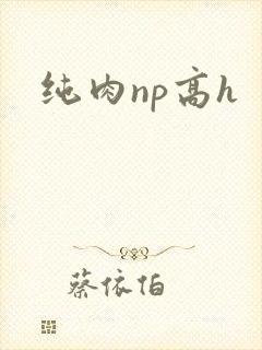 纯肉np高h