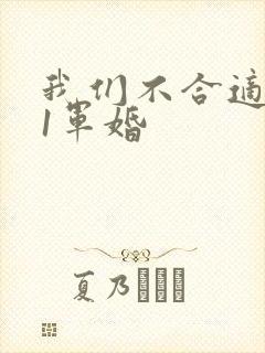 我们不合适1v1军婚