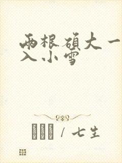 两根硕大一起挤入小雪