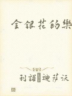 金银花的乐可封面