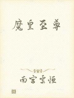 《魔皇至尊》小说封面