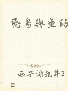 飞鸟与鱼的故事