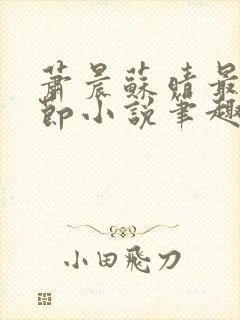 萧晨苏晴最新章节小说笔趣阁