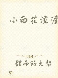 小白花浇灌日常