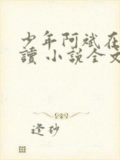 少年阿斌在线阅读 小说全文免费