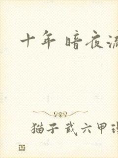 十年 暗夜流光