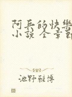 阿兵的快乐生活小说 全章节阅读免费