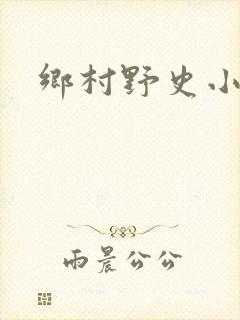 乡村野史小说封面