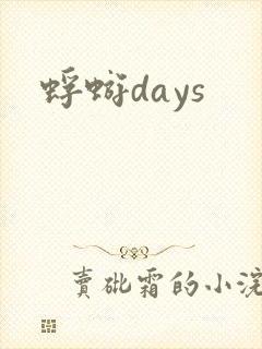 蜉蝣days封面