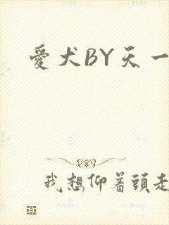 爱犬BY天一