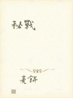 秘战