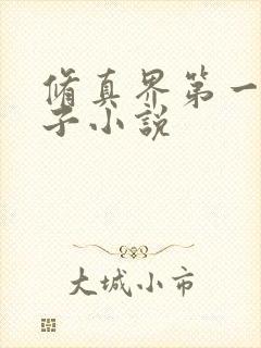 修真界第一病秧子小说封面