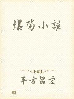 爆菊小说