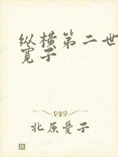 纵横第二世界 宽子封面