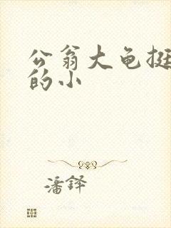 公翁大龟挺进我的小