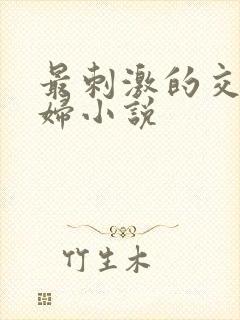 最刺激的交换夫妇小说