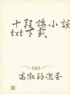十段锦小说全本txt下载