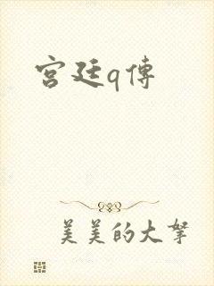 宫廷q传