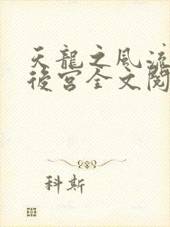 天龙之风流猎艳后宫全文阅读