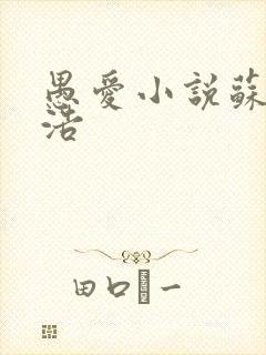 愚爱小说苏倩孙浩封面