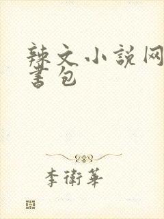 辣文小说网第二书包