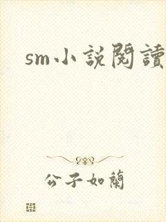 sm小说阅读