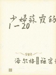 少妇苏霞的沉沦1一20