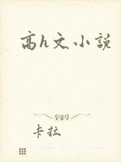 高h文小说