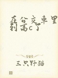 在公交车里c弄到高c了