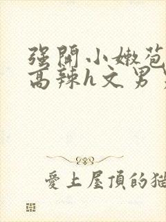 强开小嫩苞h文高辣h文男男