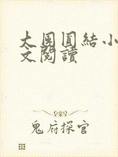 大团圆结小茹全文阅读